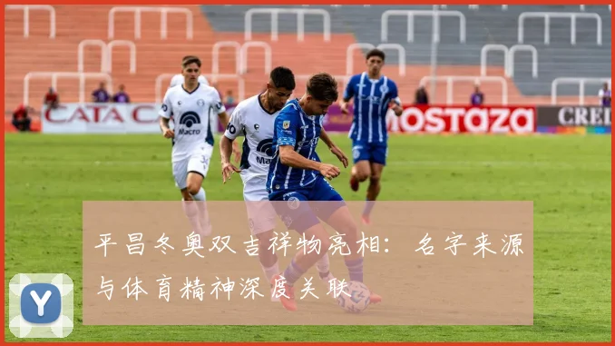 平昌冬奥双吉祥物亮相：名字来源与体育精神深度关联