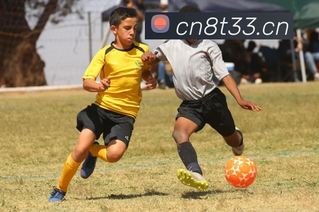 星空网页版官网入口全站App